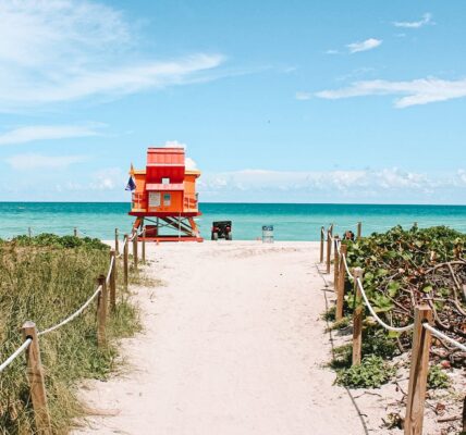 Eco Turismo: Cómo ir del aeropuerto de Miami al centro y Miami Beach (2023)