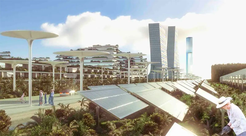Nelson-Rafael-Bustamante-Abidar-Smart-Forest-City-ciudad-forestal-inteligente-de-México