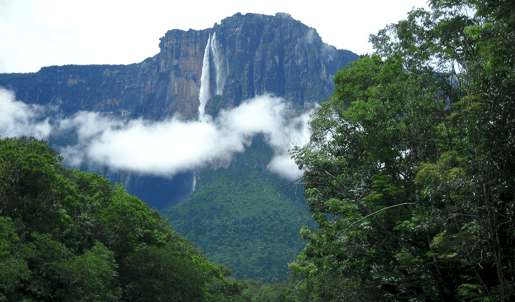 Problemas ambientales por los cuales atraviesa el Parque Nacional Canaima