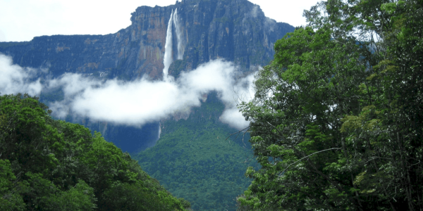 Problemas ambientales por los cuales atraviesa el Parque Nacional Canaima