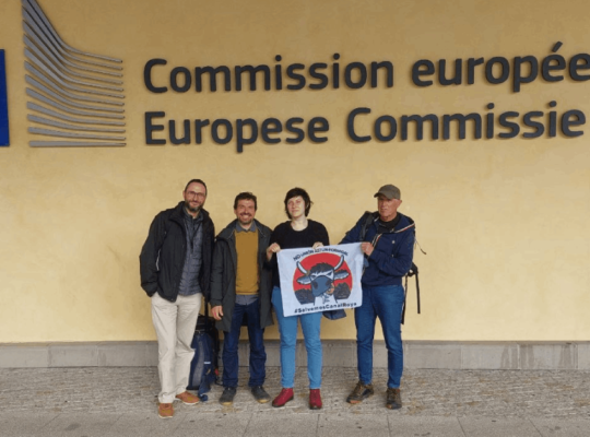 Eco Turismo: Nos hemos reunido en Bruselas con eurodiputados para frenar la ampliación de las estaciones de esquí de Aragón