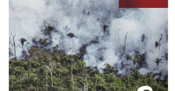 Eco Turismo: Notas sobre Mercosur: la única forma de proteger la selva amazónica es rechazar el acuerdo