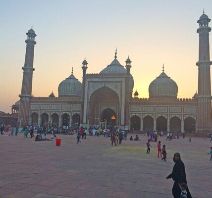 Eco Turismo: 10 imprescindibles que ver y hacer en Nueva Delhi (India) ❤️