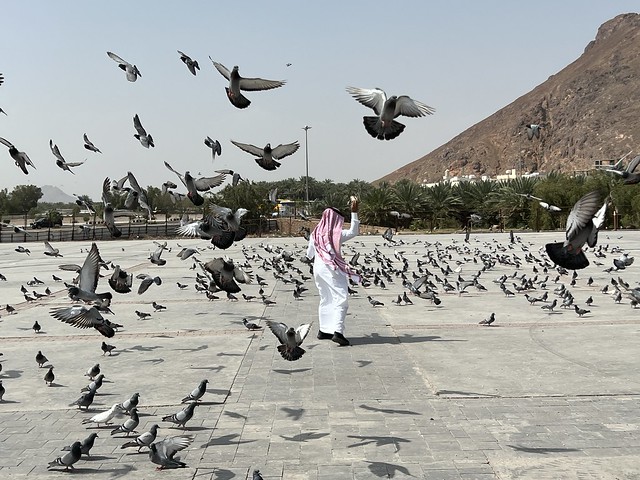 Escena de hombre saudí y palomas en Medina (Arabia Saudí)