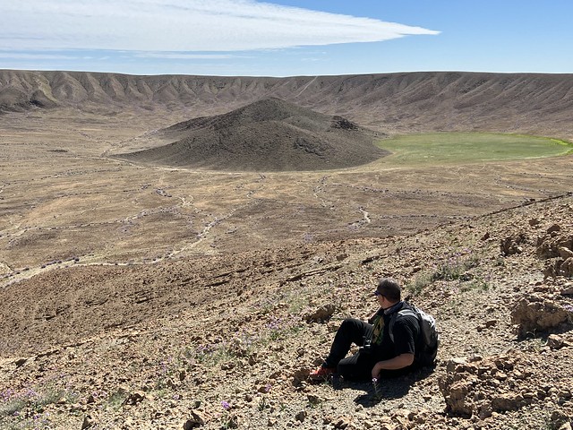 Sele en uno de los volcanes blancos (Harrat Khaybar, Arabia Saudí)