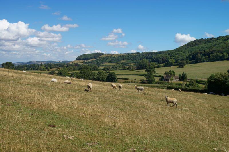 The Cotswold Way