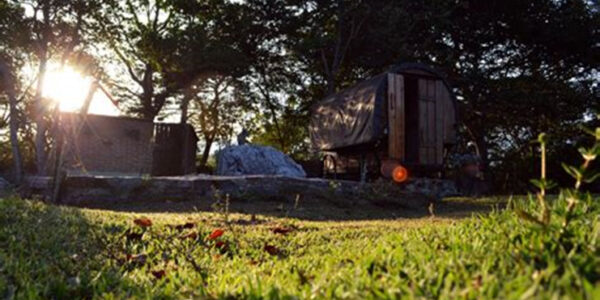 image - <strong>Construción del primer glamping en venezuela</strong>
