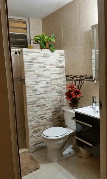 Guía para la remodelación de baños pequeños por Nelson Rafael Bustamante Abidar