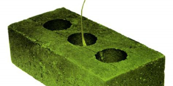 image 2 - Los mejores materiales para construir una casa sostenible - Bernardo Arosio