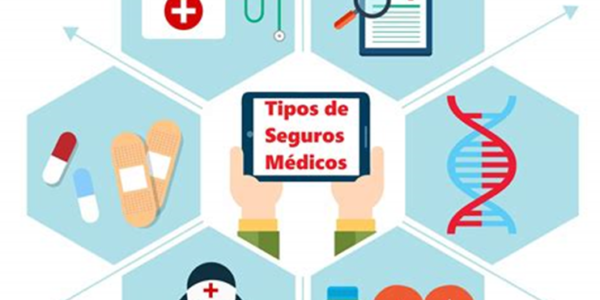 image - Los principales tipos de seguros y su importancia en la sociedad - Hjalmar Jesus Gibelli Gomez