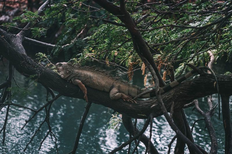 que hacer en Santa Marta que hacer en Santa Marta