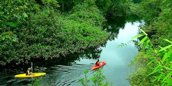 El ecoturismo y cómo se puede disfrutar de la naturaleza de manera responsable y sostenible