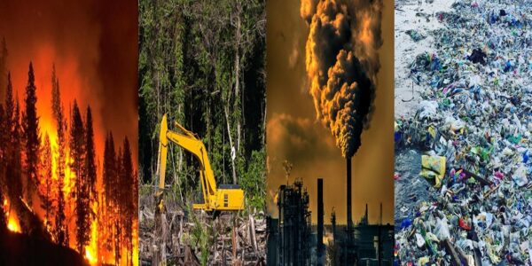 Fundación Yammine - Ecocidio; De qué se trata; Cuántos tipos hay - FOTO