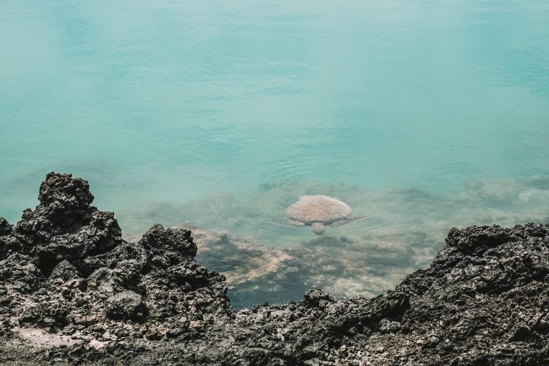 mejor época para viajar a Galápagos mejor época para viajar a Galápagos