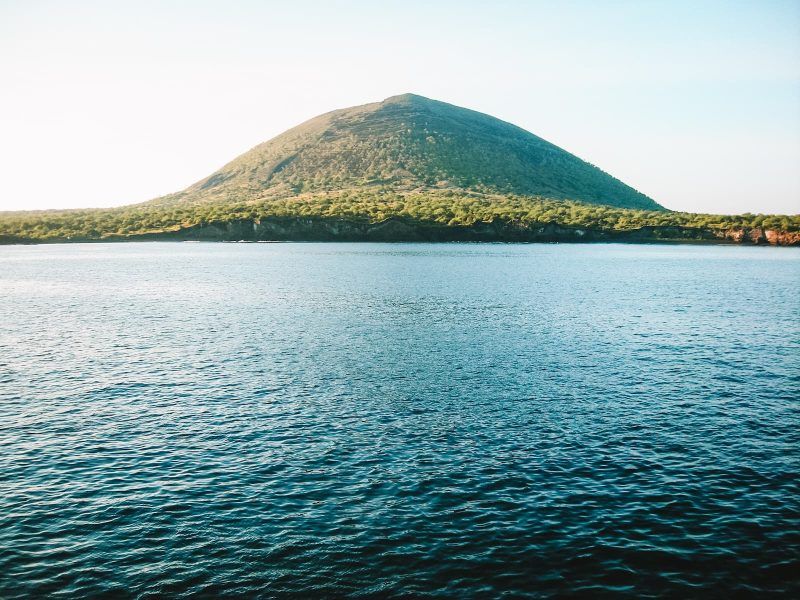 mejor época para viajar a Galápagos mejor época para viajar a Galápagos