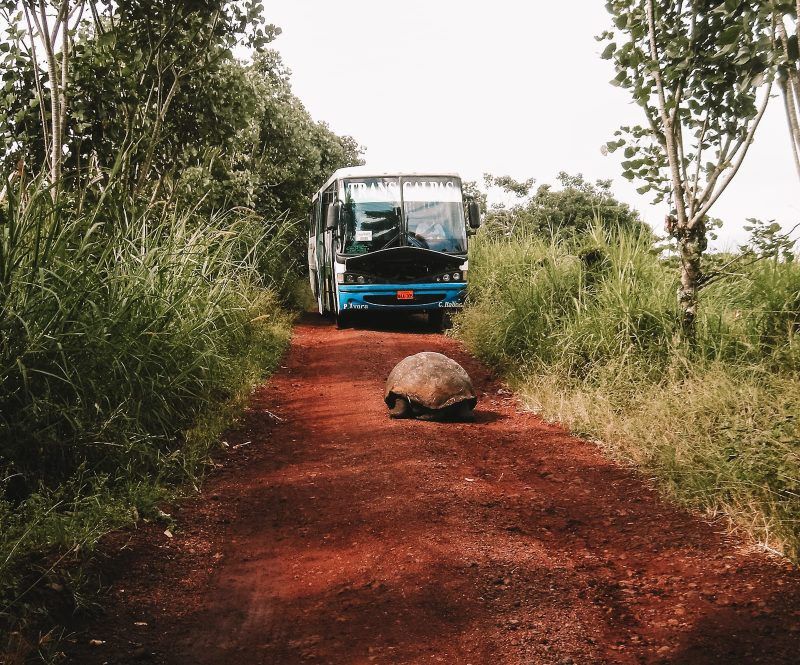 mejor época para viajar a Galápagos mejor época para viajar a Galápagos