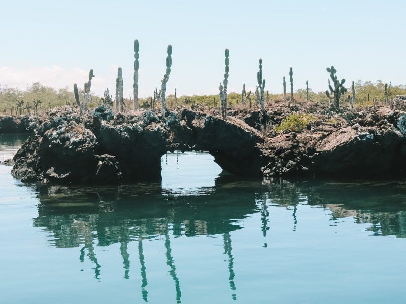 mejor época para viajar a Galápagos mejor época para viajar a Galápagos