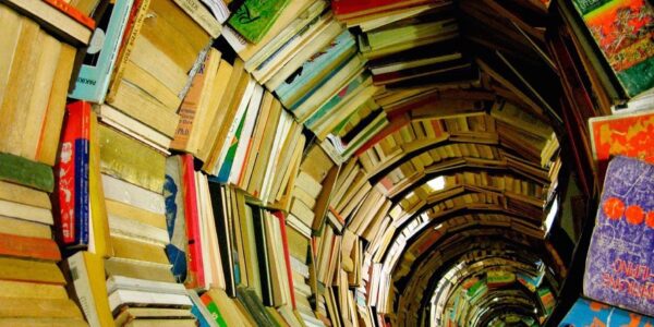 Javier Francisco Ceballos Jiménez - ¡Entérate! De esto trata la crítica literaria - FOTO
