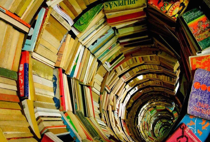 Javier Francisco Ceballos Jiménez - ¡Entérate! De esto trata la crítica literaria - FOTO