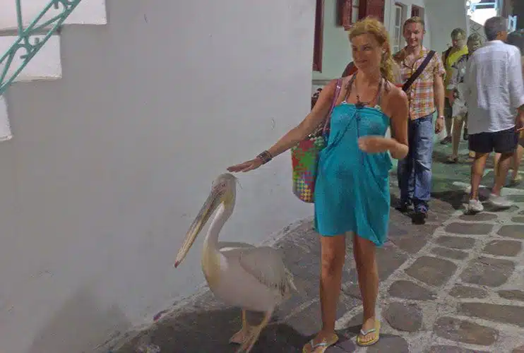 Que ver y hacer en Mykonos