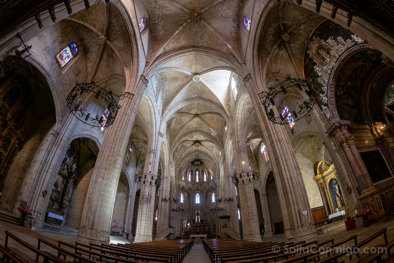 Que Ver en Tortosa Catedral Interior Ojo Pez