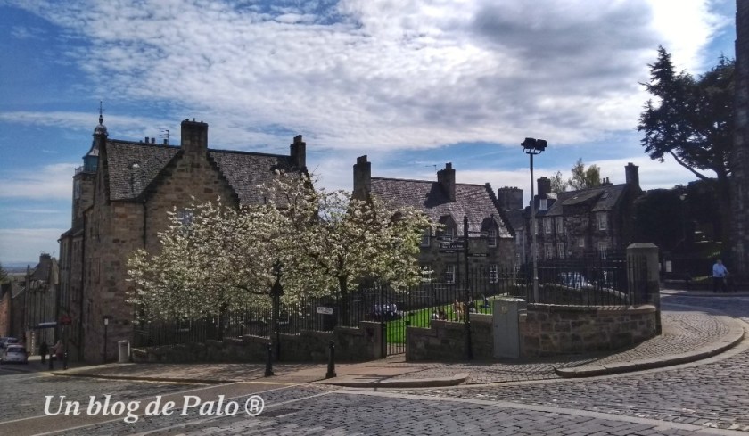 Centro de Stirling