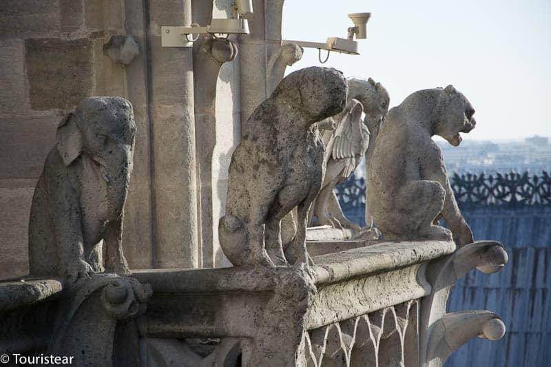 Gárgolas de la Catedral de Notre Dame antes del incendio de 2019