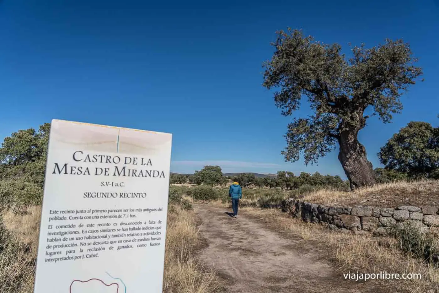 Castro de la Mesa de Miranda