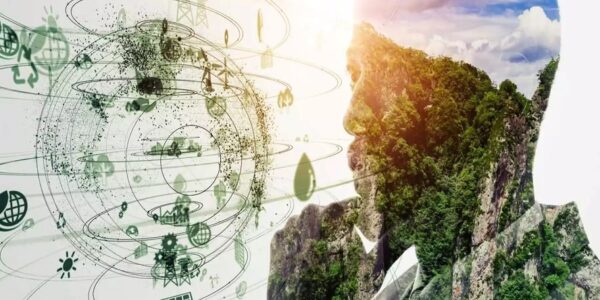 Bernardo Arosio - ¡Entérate! Estas son las diferencias entre los términos sustentable y sostenible - FOTO