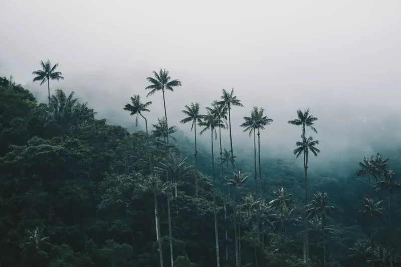que ver en el Eje Cafetero