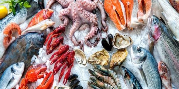 Francesco Lovaglio Tafuri - ¡Conócelos! ¡Top 10 ingredientes populares de la comida de mar! - FOTO