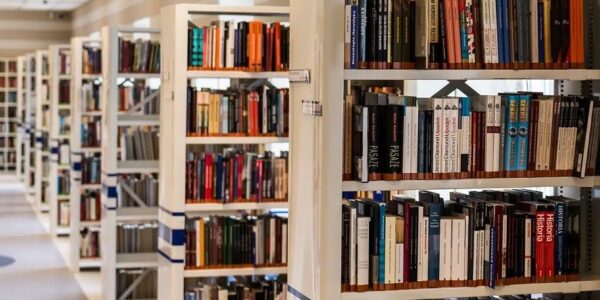 Javier Ceballos Jiménez - ¡Conócelas! Top 10 curiosidades del mundo de la literatura - FOTO