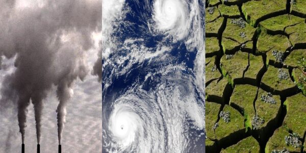 Ligia Carolina Gorriño Castellar - Cambio climático ¡La principal preocupación de las aseguradoras! - FOTO