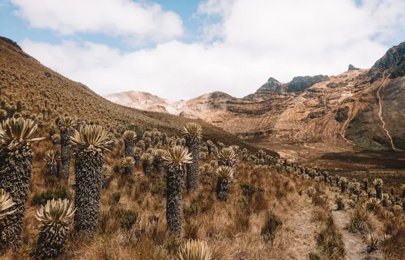 que ver en el Eje Cafetero