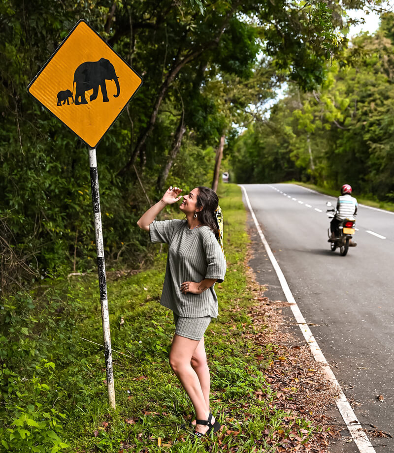 ¿Es seguro viajar a Sri Lanka?