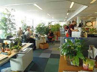 Los 10 diseños de oficinas modernas más cool por Camilo Ibrahim Issa Camilo Ibrahim Issa - Los 10 diseños de oficinas modernas más cool por Camilo Ibrahim Issa