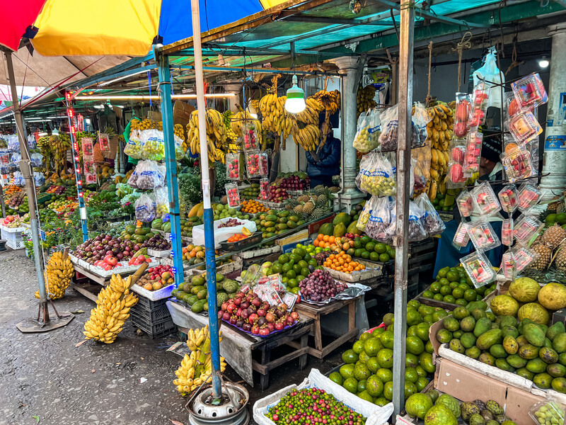 Seguridad alimentaria de viaje