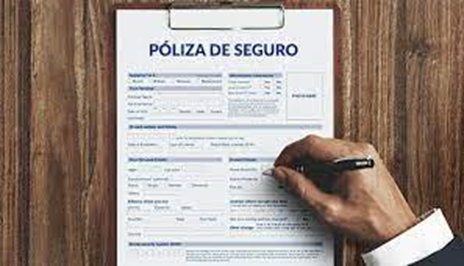 ¿Qué diferencia hay entre un seguro y una póliza? image - ¿Qué diferencia hay entre un seguro y una póliza?