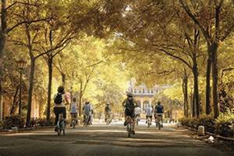 Camilo Ibrahim Issa | ¿Sabias que rodear las ciudades con bosques es una solución urbana? Aquí te lo contamos Camilo Ibrahim Issa - Camilo Ibrahim Issa | ¿Sabias que rodear las ciudades con bosques es una solución urbana? Aquí te lo contamos