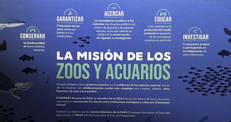 mision-bioparc-acuario-gijon → LA VIAJERA EMPEDERNIDA
