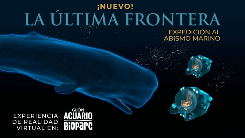 ultima-frontera-acuario-gijon → LA VIAJERA EMPEDERNIDA