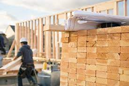 5 grandes mitos sobre la construcción con madera Camilo Ibrahim Issa - 5 grandes mitos sobre la construcción con madera