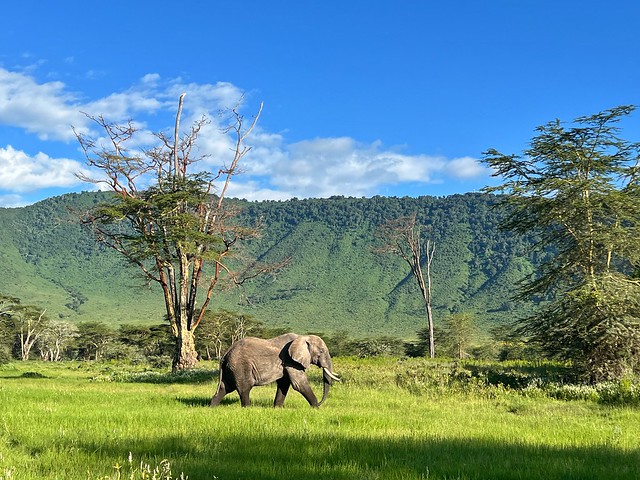 Consejos para viajar a Tanzania