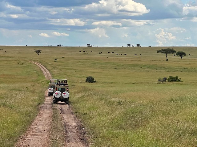 Paisaje del Serengeti en Tanzania