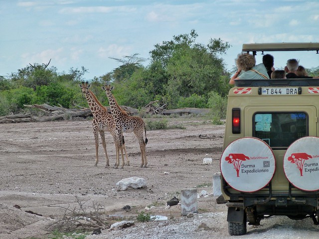 Safari en Tanzania