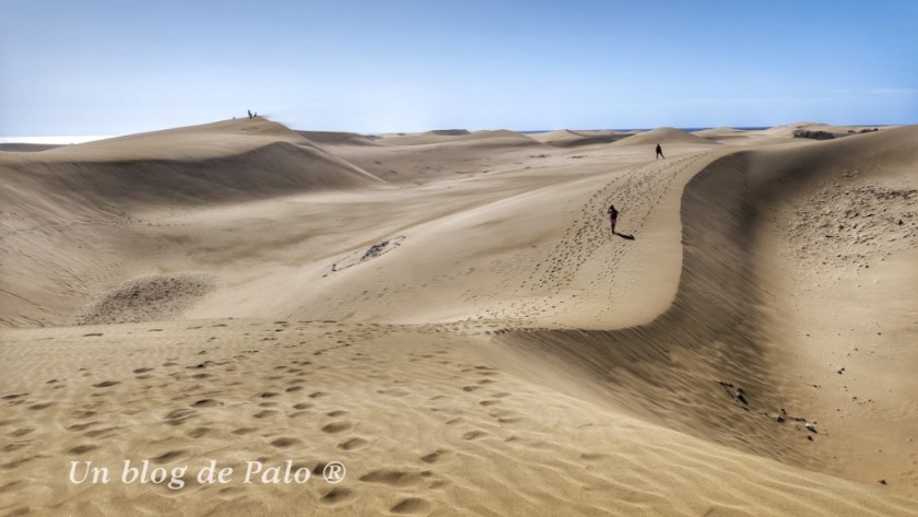 Imprescindibles en Gran Canaria Dunas de Maspalomas