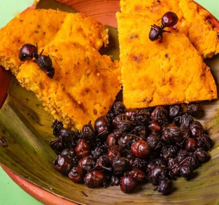 Francesco Lovaglio Tafuri - ¡Entérate! Estos son los 7 platos más exóticos de la gastronomía latinoamericana - FOTO