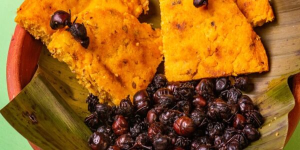 Francesco Lovaglio Tafuri - ¡Entérate! Estos son los 7 platos más exóticos de la gastronomía latinoamericana - FOTO