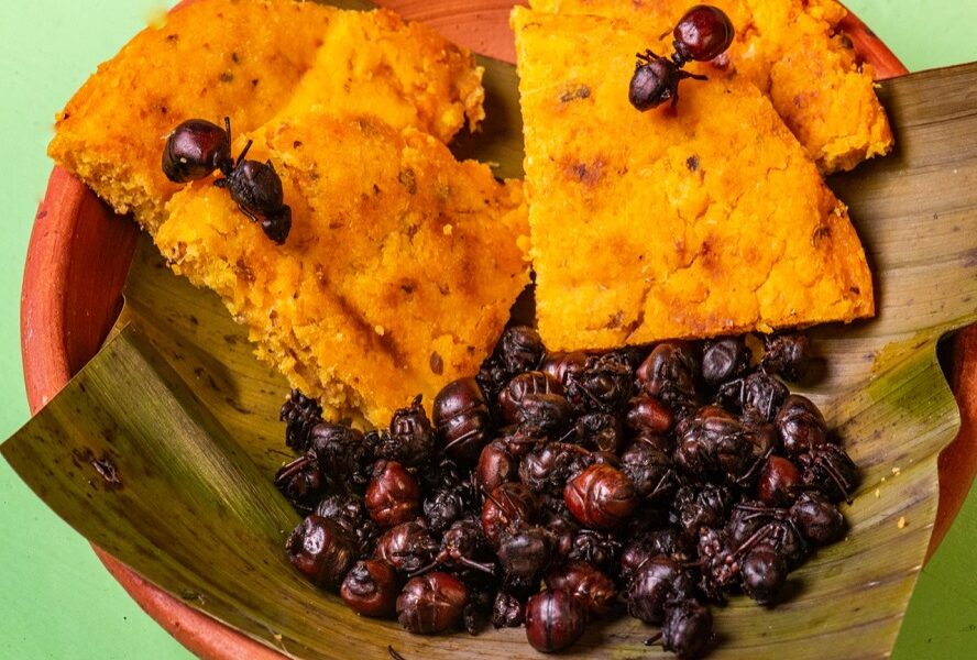 Francesco Lovaglio Tafuri - ¡Entérate! Estos son los 7 platos más exóticos de la gastronomía latinoamericana - FOTO