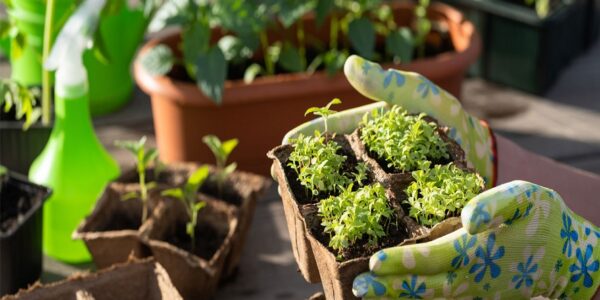 Fundación Yammine - Jardín Ecológico ¡La manera ideal de minimizar el impacto ambiental! - FOTO